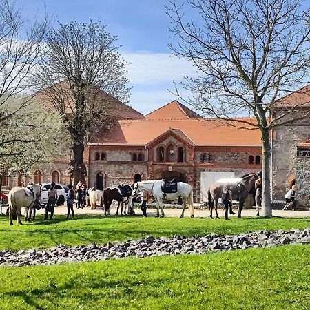 Villa Tinyhousebeidresden 3 Fuer 2 - 7 Personen, Naehe Saechsische Schweiz, Dresden, Mit Badeteich Großharthau Esterno foto