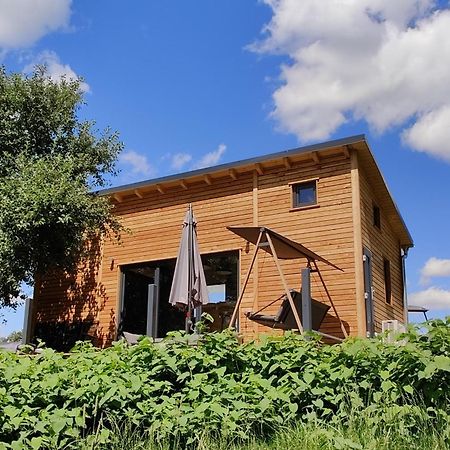 Villa Tinyhousebeidresden 3 Fuer 2 - 7 Personen, Naehe Saechsische Schweiz, Dresden, Mit Badeteich Großharthau Esterno foto