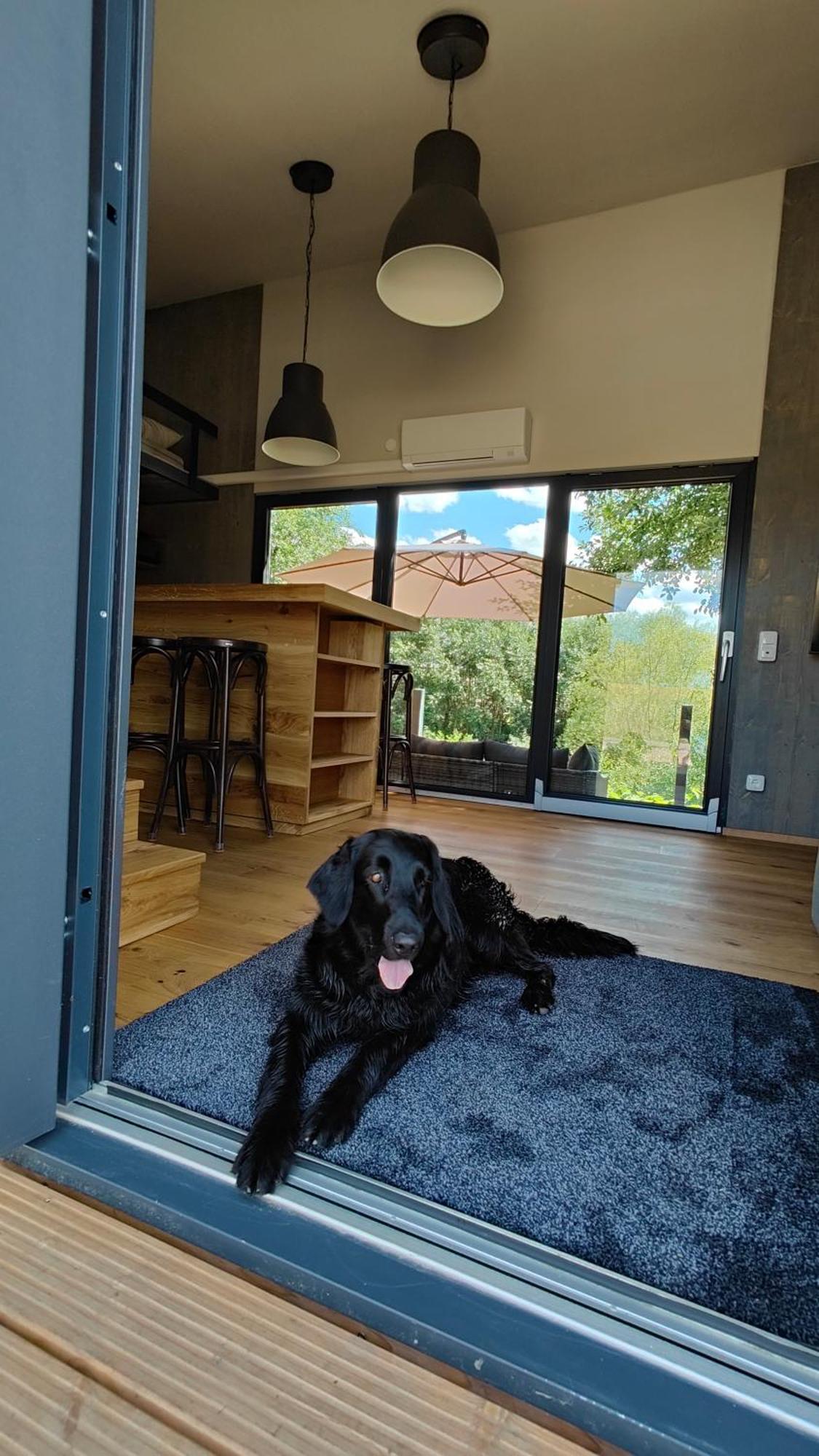 Villa Tinyhousebeidresden 3 Fuer 2 - 7 Personen, Naehe Saechsische Schweiz, Dresden, Mit Badeteich Großharthau Esterno foto