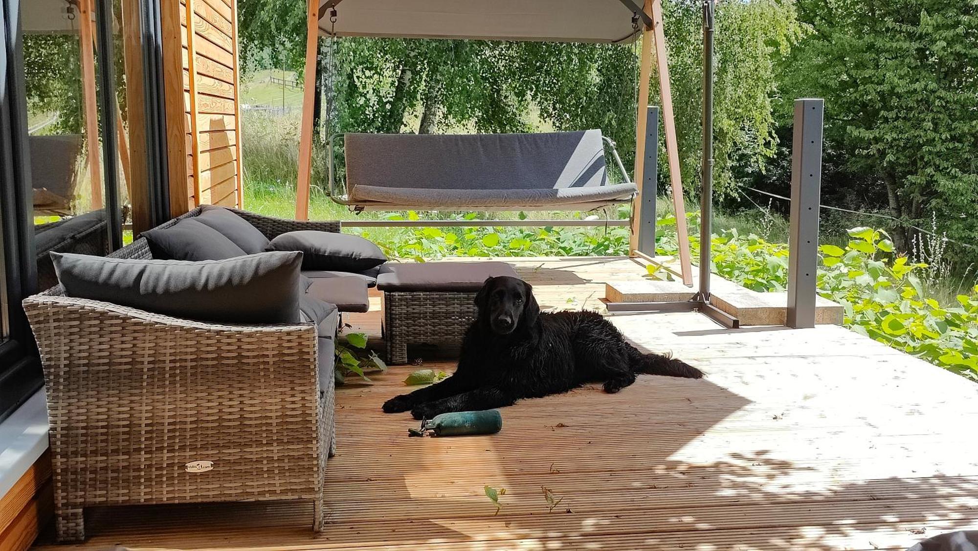 Villa Tinyhousebeidresden 3 Fuer 2 - 7 Personen, Naehe Saechsische Schweiz, Dresden, Mit Badeteich Großharthau Esterno foto